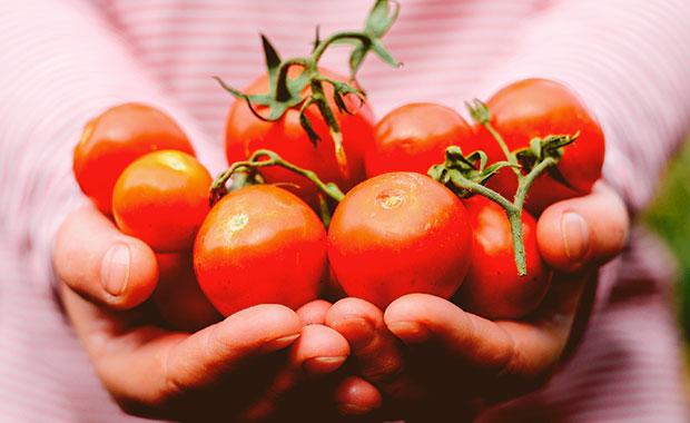 Seu tempo vale tomates-0