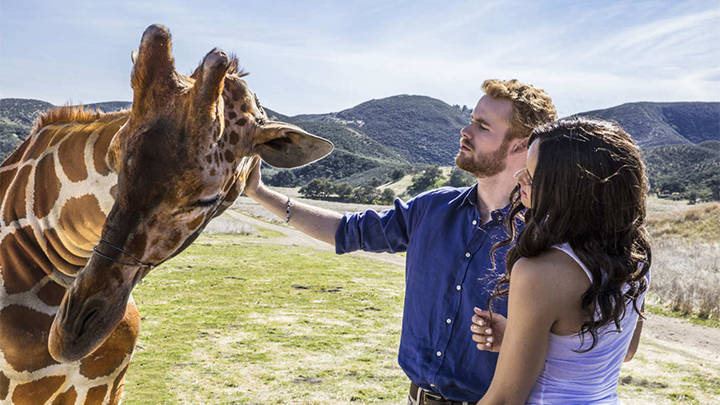 Lifetime está produzindo mais um filme sobre a vida de Harry e Meghan -0